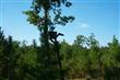 2545  Morning View Road , Sharon, SC