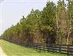 68 AC-B  Garvin Road , Mcconnells, SC