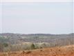 137 Acres  Montview , Sharon, SC