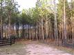 137 Acres Montview, Sharon, SC 29742