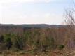 137 Acres Montview, Sharon, SC 29742