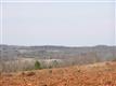 137 Acres Montview, Sharon, SC 29742