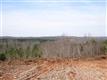 137 Acres Montview, Sharon, SC 29742