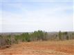 137 Acres Montview, Sharon, SC 29742