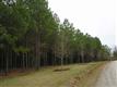 137 Acres Montview, Sharon, SC 29742