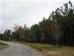 137 Acres Montview, Sharon, SC 29742