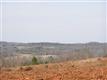 137 Acres Montview, Sharon, SC 29742