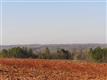 137 Acres Montview, Sharon, SC 29742