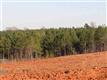 137 Acres Montview, Sharon, SC 29742