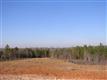 137 Acres Montview, Sharon, SC 29742