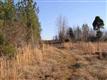 137 Acres Montview, Sharon, SC 29742
