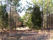 137 Acres Montview, Sharon, SC 29742