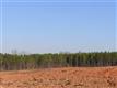 137 Acres Montview, Sharon, SC 29742