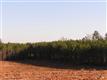 137 Acres Montview, Sharon, SC 29742