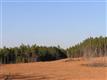 137 Acres Montview, Sharon, SC 29742