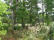 17018 Ashton Oaks Drive, Charlotte, NC 28278