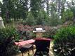 17018 Ashton Oaks Drive, Charlotte, NC 28278
