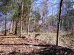 10026 Bora Bora, Tega Cay, SC 29708