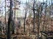 10026 Bora Bora, Tega Cay, SC 29708