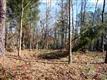 10026 Bora Bora, Tega Cay, SC 29708