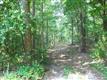 267 Dogwood Trail, Fort Mill, SC 29707