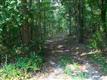 267 Dogwood Trail, Fort Mill, SC 29707