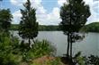 19673 Harbor Watch Court, Lancaster, SC 29720