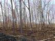 Lot 17 Ranger Rd, Clover, SC 29710