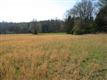 1485 Turkey Creek Rd, York, SC 29745