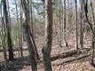 1485 Turkey Creek Rd, York, SC 29745