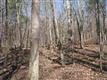 1485 Turkey Creek Rd, York, SC 29745