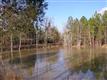 23 Ac  Cedar Grove Rd , Clover, SC