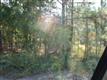 TBD Vass Carthage Rd, Carthage, NC 28327