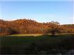 Bull Creek Rd