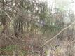  Harmony, Ohio Twp, PA 15237