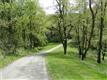 Adams Twp