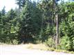 North Bend