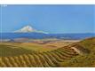 The Dalles