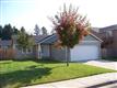 88061  Llama Ln 