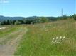 21545  Blaine Rd 