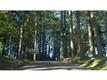 82630  Bear Creek Rd , Creswell, OR