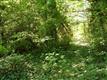 19975  Willamette Dr , West Linn, OR