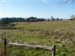 Tigard