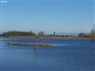 92709  Alvadore Rd , Junction City, OR