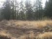 18298 S Nancy Jean Way, Oregon City, OR 97045