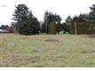 7  Alvadore Rd , Junction City, OR