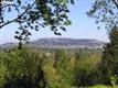 13665 SE Ash St, Milwaukie, OR 97222
