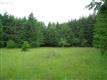   Wheaton Ln , Veneta, OR
