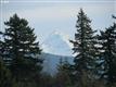 5901 W St, Washougal, WA 98671