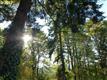 3308 SE Mckever Rd, Camas, WA 98607